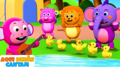 cinco patinhos saíram um dia | Five Little Ducks | Músicas para crianças de Aqui Bebes Cantam