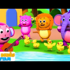 Cinco patinhos saíram um dia | Five Little Ducks | Músicas para crianças de Aqui Bebes Cantam