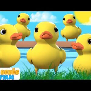 🖐️ 5 Patinhos foram Passear 🦆 Musica infantil em português | Educação - Aqui Bebês Cantam